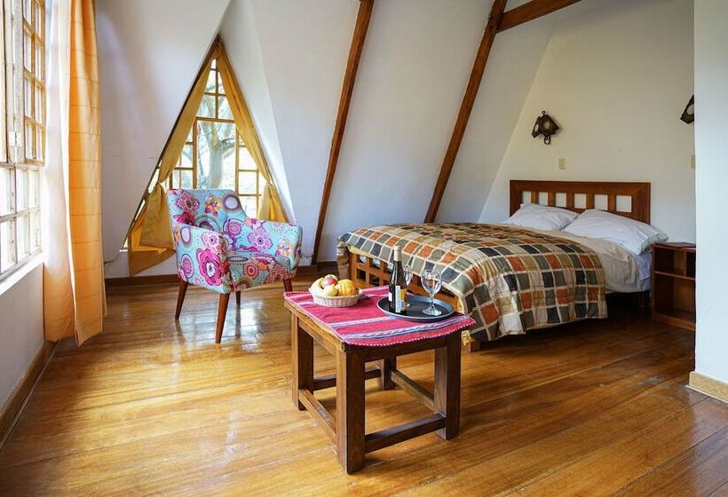 غرفة قياسية فردية, Amaru Valle