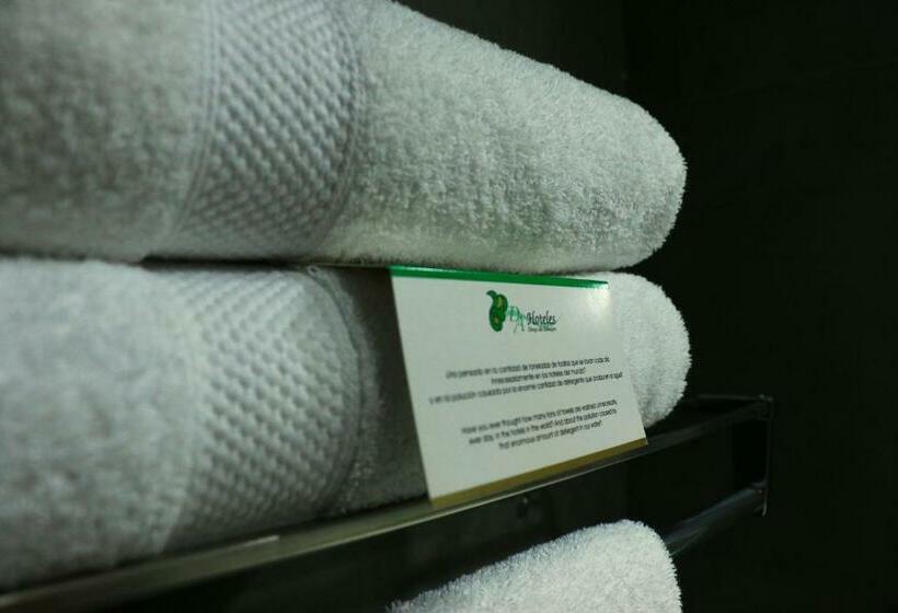 غرفة قياسية, Diego De Almagro Providencia