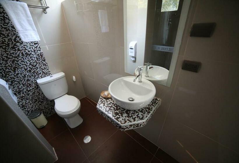 スタンダードルーム, Suche Park