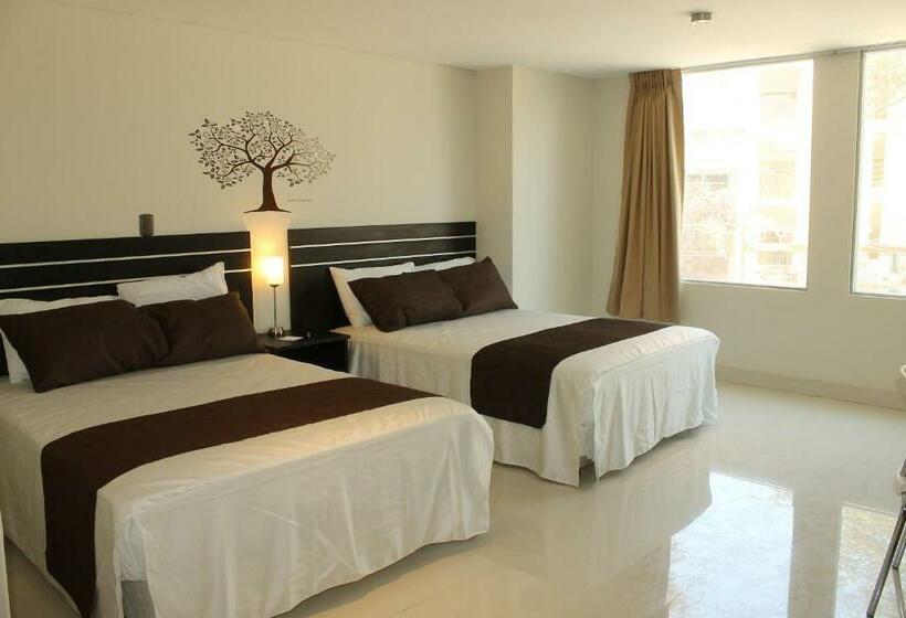 スタンダードルーム, Suche Park