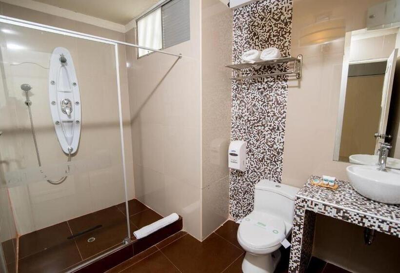 スタンダードトリプルルーム, Suche Park