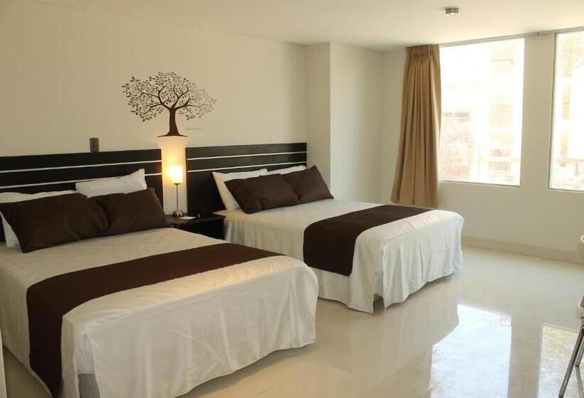 スタンダードトリプルルーム, Suche Park