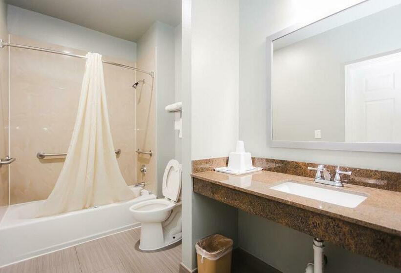 חדר דלוקס, Econo Lodge Inn & Suites