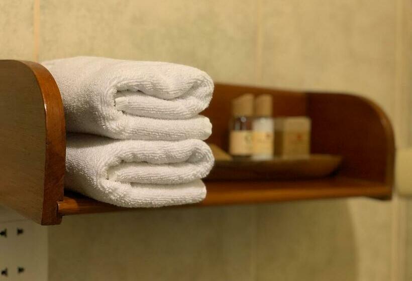 Номер Стандарт, Panorama B&b