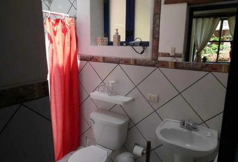 StandaardKamer, Melissa Wasi
