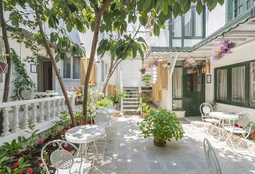 غرفة ديلوكس, Aya Butik Otel