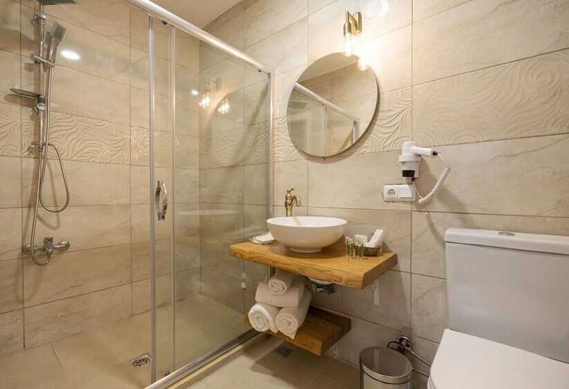 豪华房间, Aya Butik Otel