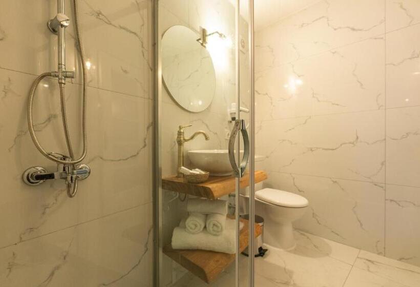 اتاق استاندارد در طبقه همکف, Aya Butik Otel