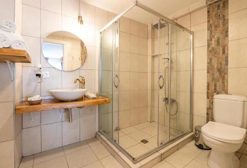 غرفة قياسية بالطابق الأرضى, Aya Butik Otel