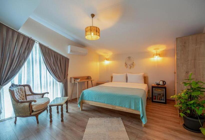 豪华房间, Aya Butik Otel