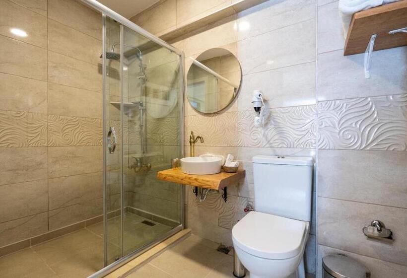 غرفة ديلوكس, Aya Butik Otel