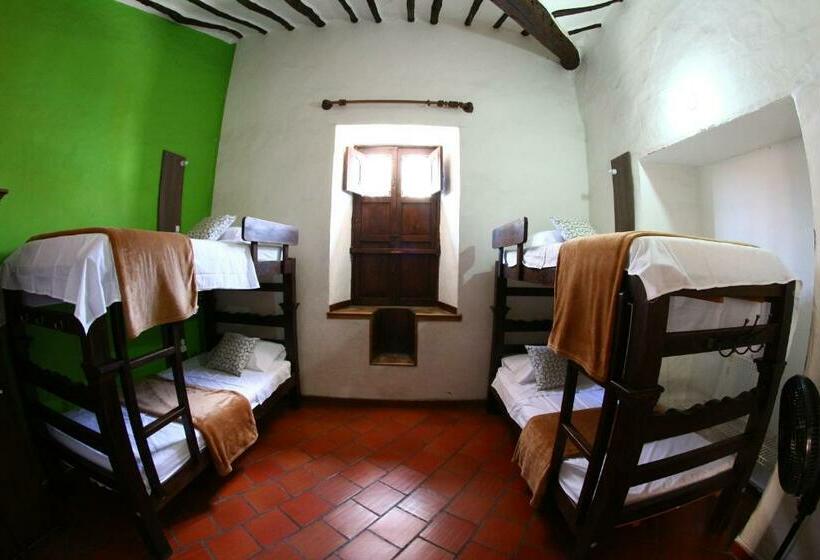 سرير فى غرفة مشتركه, Real Dream Hostel