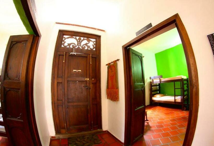سرير فى غرفة مشتركه, Real Dream Hostel