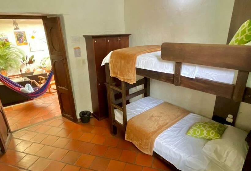 سرير فى غرفة مشتركه, Real Dream Hostel