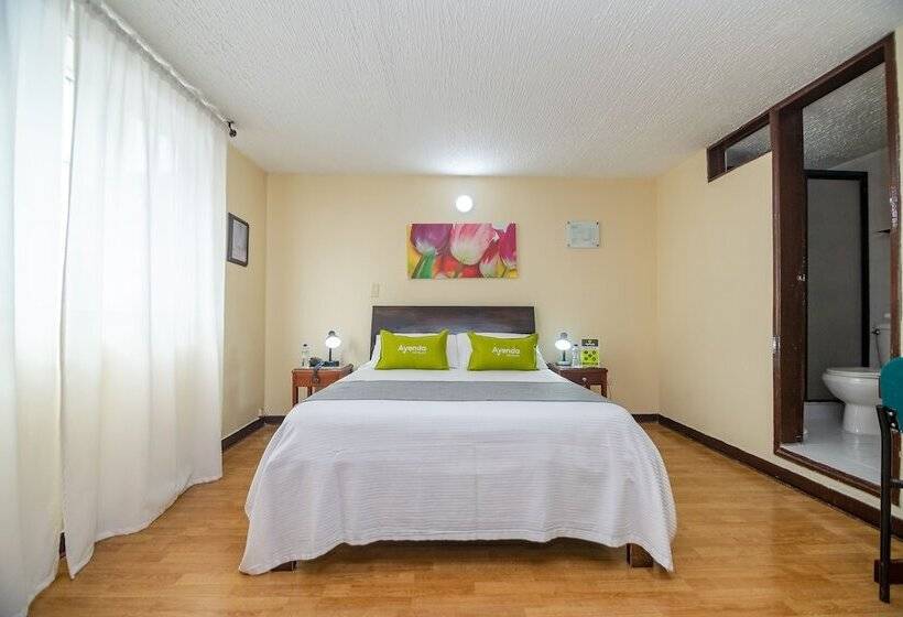 Номер Стандарт, Ayenda Aragon