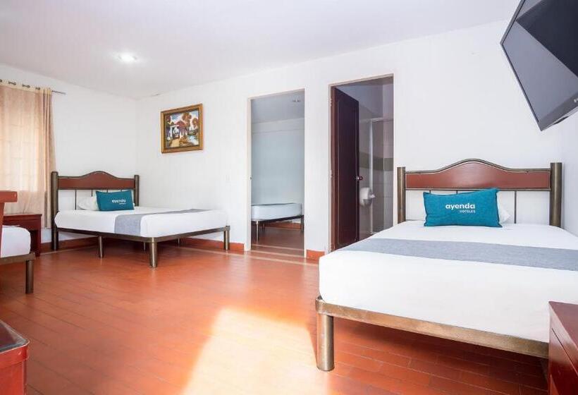 패밀리 룸, Mar Azul Neiva