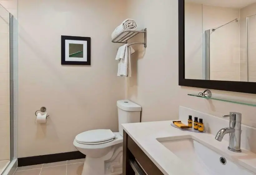 ２ダブルベッドのスタンダードルーム, Best Western Plus Philadelphia Convention Center