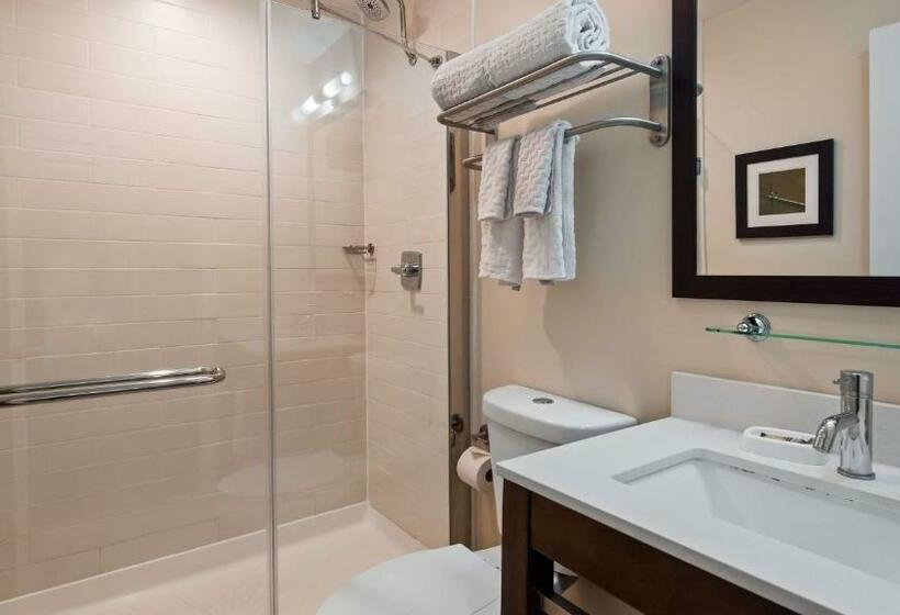 اتاق استاندارد با 2 تخت دوبل, Best Western Plus Philadelphia Convention Center