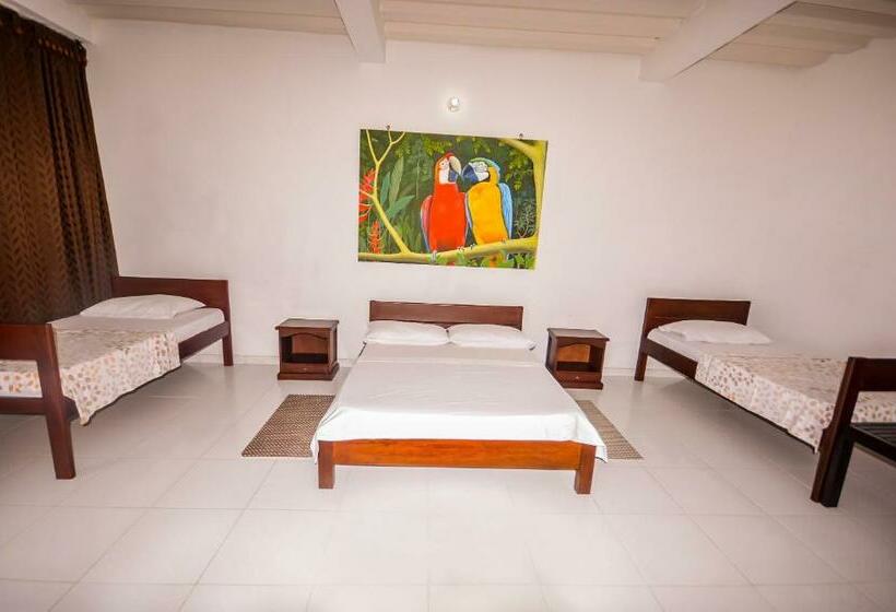 标准三人间, Tucuma Casa