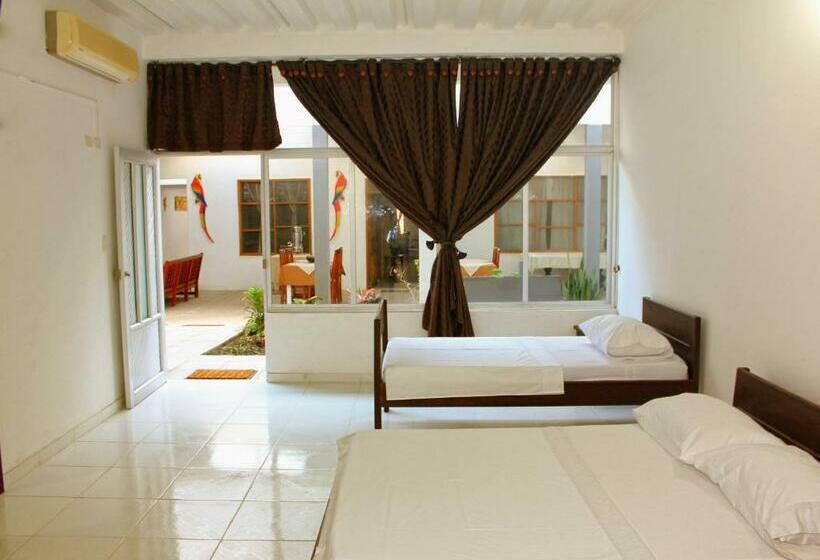 四人标准间, Tucuma Casa