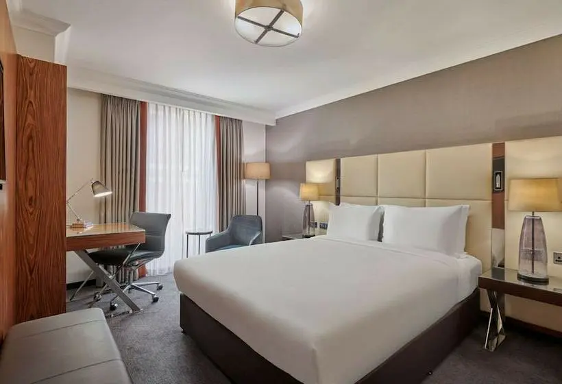 ダブルベッドスタンダードルーム, Hyatt Regency London Albert Embankment