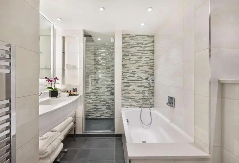 キングサイズベッドのデラックスルーム, Hyatt Regency London Albert Embankment