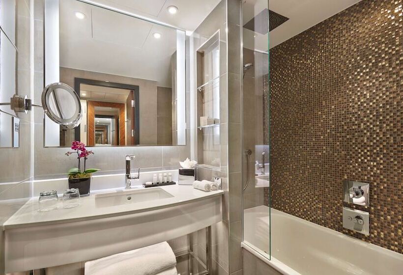 Номер Стандарт Вид на Реку, Hyatt Regency London Albert Embankment