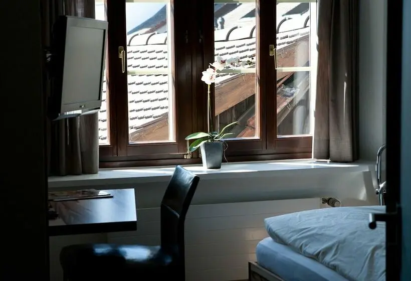 Standard Yhden Hengen Huone, Gasthof Zur Sonne
