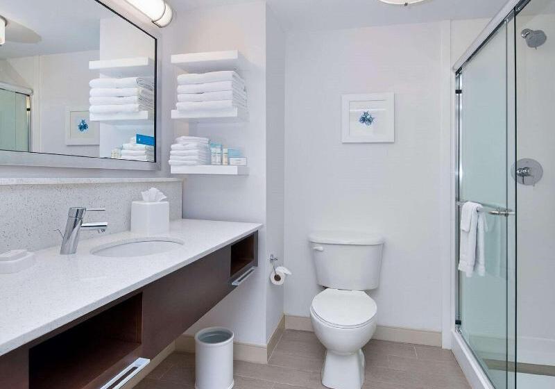 Номер Стандарт Вид на Реку, Hyatt Regency London Albert Embankment