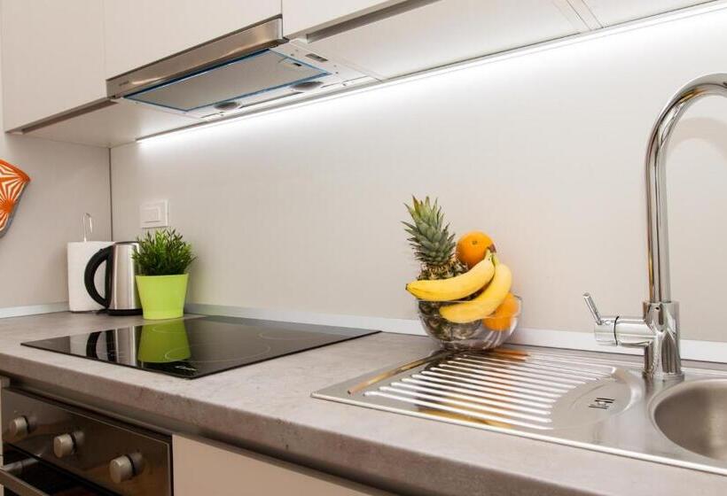 شقة ديلوكس غرفة واحدة, Luxury Main Square Apartments