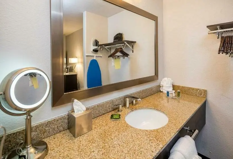 اتاق استاندارد با تخت بزرگ برای معلولان, Radisson Hotel Oakland Airport