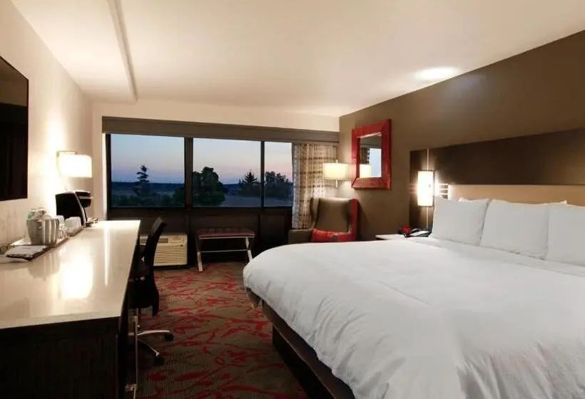 سوئیت با تخت بزرگ, Radisson Hotel Oakland Airport