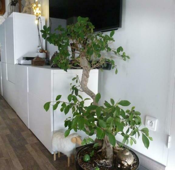 חדר סטנדרט עם מיטת קינג, 1 Chambre, 1 P'tit Dèj', 1 Sourire