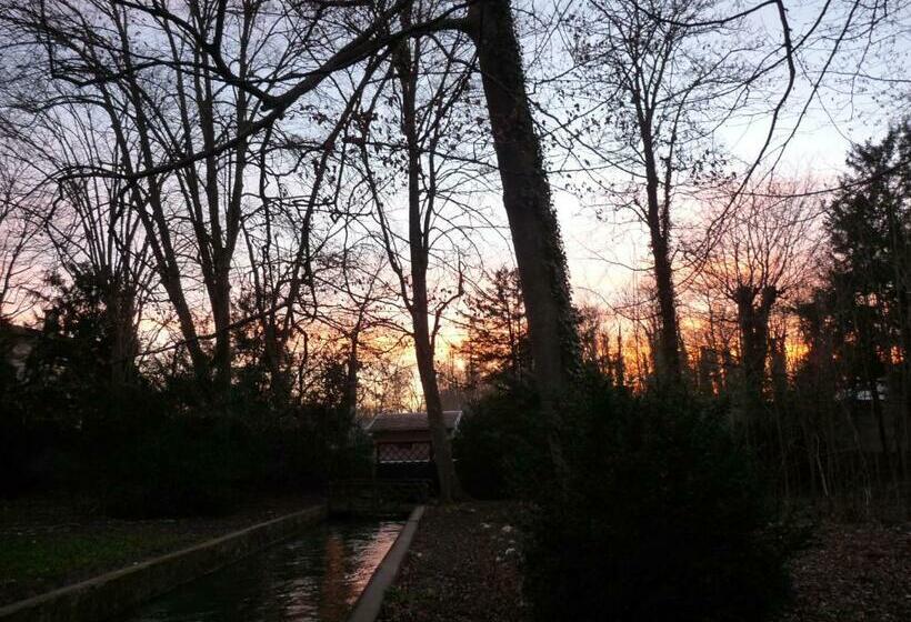 패밀리 룸, Le Betrot