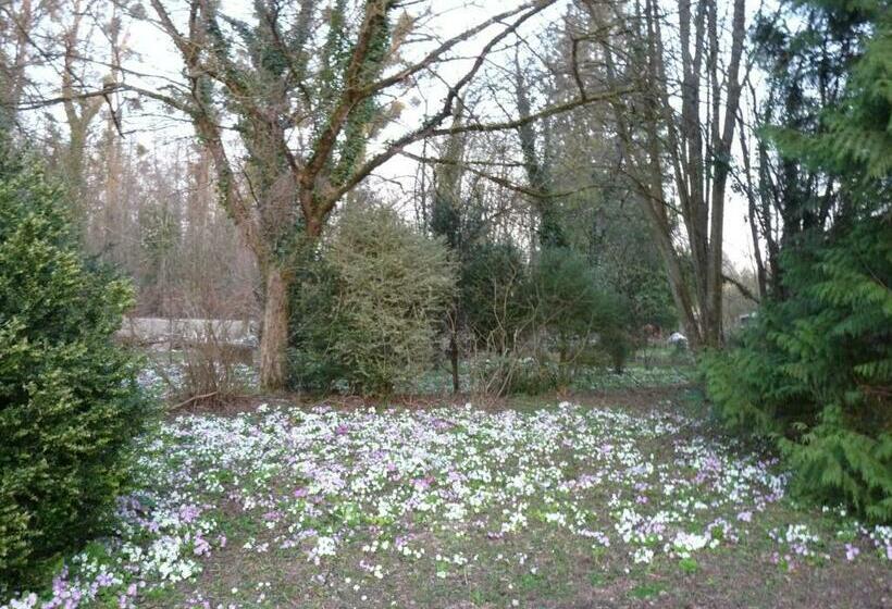 패밀리 룸, Le Betrot