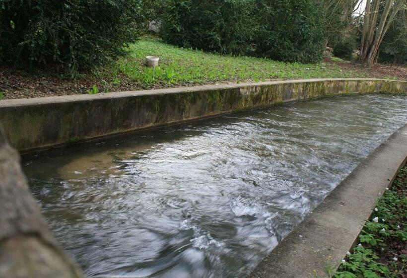 패밀리 룸, Le Betrot