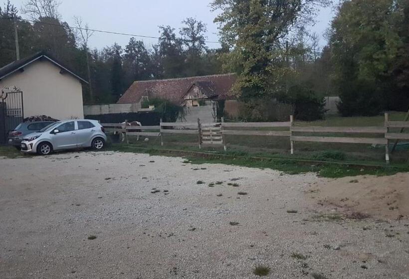 스탠다드 스튜디오 (테라스구비), Le Betrot