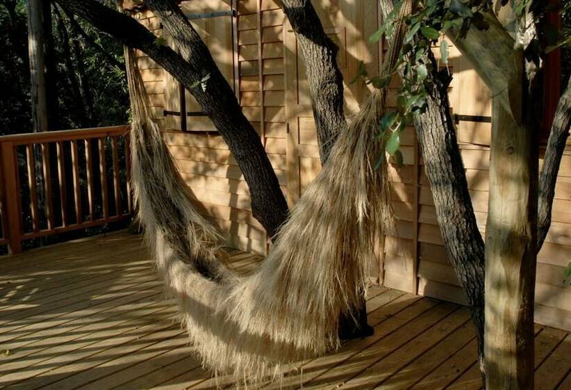 منزل غرفة نوم واحدة, Orion Tree Houses