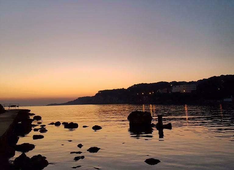 컴포트 룸, O Petit Monde