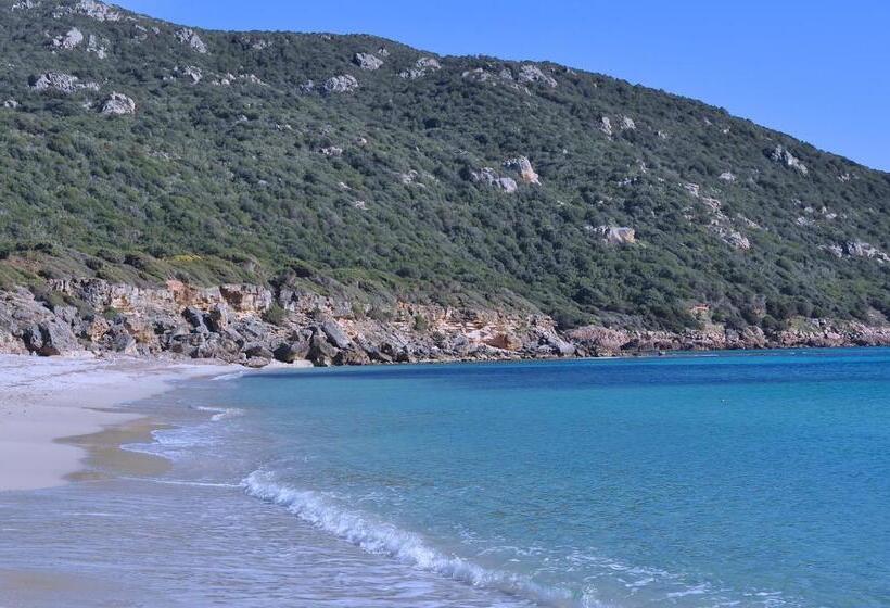 高级园景房, Fiore Di Machja