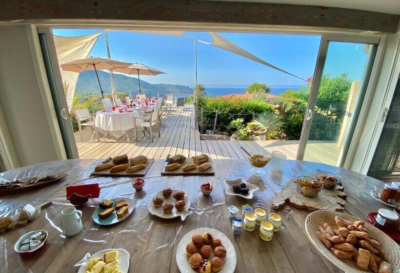 高级大房间, Fiore Di Machja