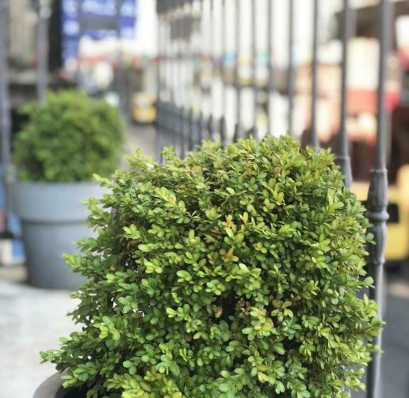 חדר קומפורט לשלושה, Bleu De Mer