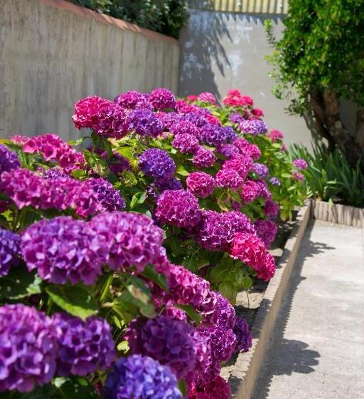 Люкс Дюплекс, La Villa En L île 2 Piscines & Spa