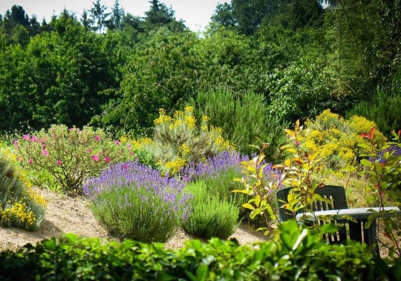 스탠다드 싱글 룸, Logis Hôtel & Restaurant Au Clos Paillé Charme & Caractère