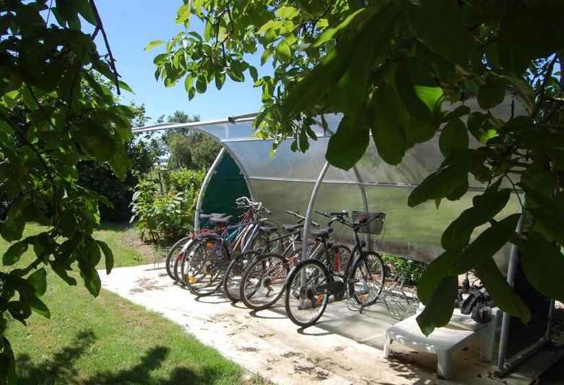 شقة غرفتين, Douce France 82