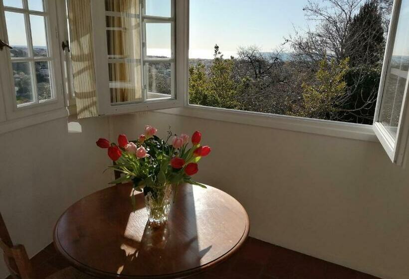 غرفة سوبيريور مطلّة علي البحر, Chambres D'hôtes Les Terrasses Du Soleil