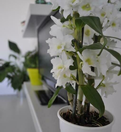 غرفة قياسية, Le Mas De Plein Pagnier