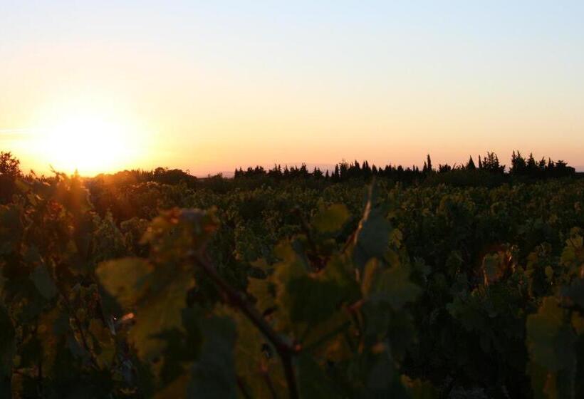 غرفة قياسية, Le Mas De Plein Pagnier