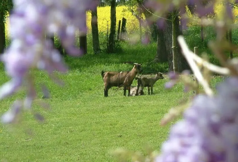 Standard-huone, Maison Prairie Bonheur