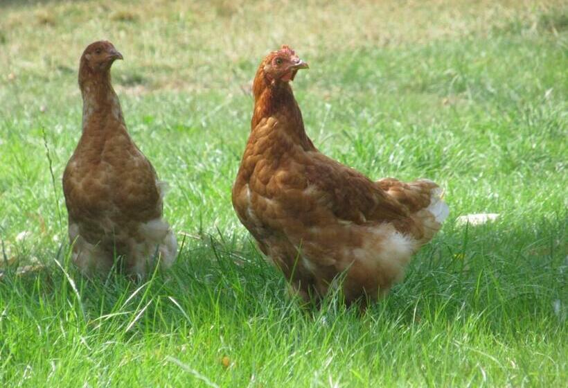 غرفة قياسية, Maison Prairie Bonheur